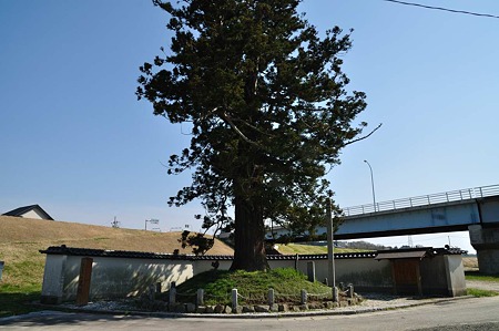 1005031432_DSC_3619