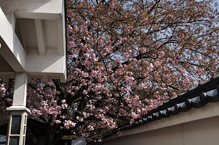 1005051446_DSC_5747