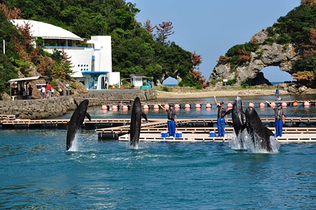 1009191424_DSC_2026