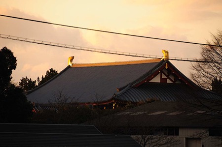 1101041642_DSC_4477