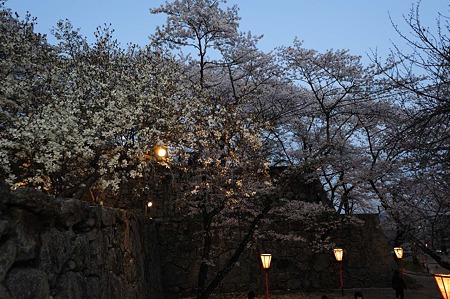 1104121845_DSC_9570
