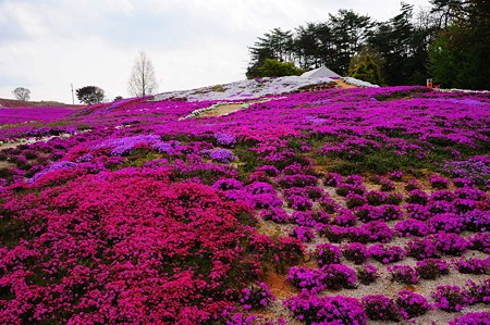 1104271004_DSC_9876