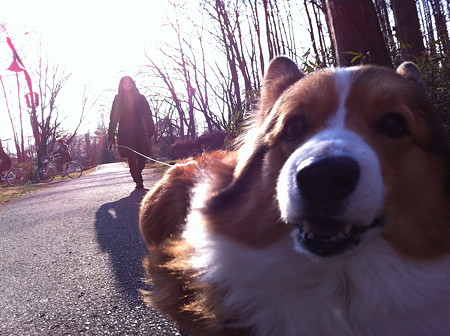 写真 4