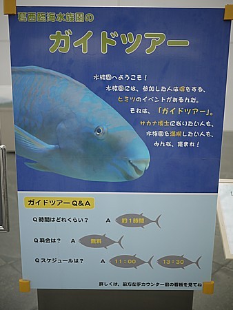 オススメ