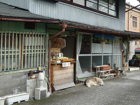 鏡ヶ池(7)