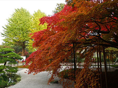雷山千如寺大悲王院(20)