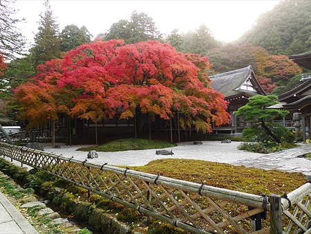 雷山千如寺大悲王院(43)