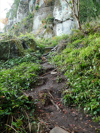 一目八景~見晴らし台への登山道(1)