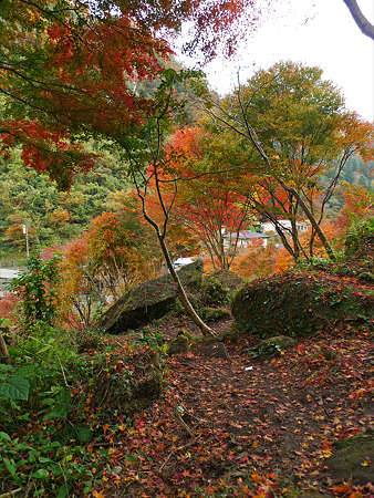 一目八景~見晴らし台への登山道(6)