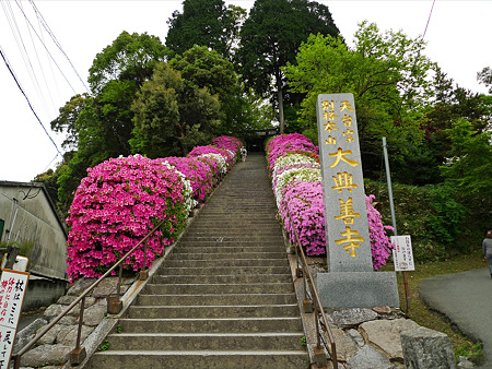大興善寺(2)