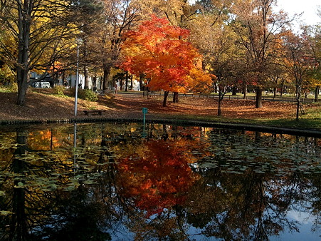 2010-11-06-8a