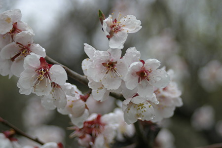 20110515_4