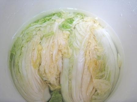 白菜・3
