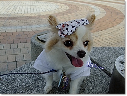 ミミちゃん