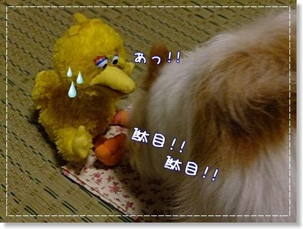 カボチャプリン