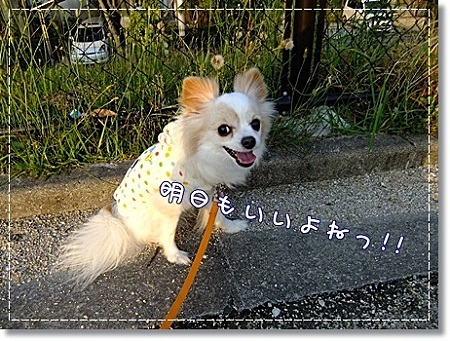 晴れた~