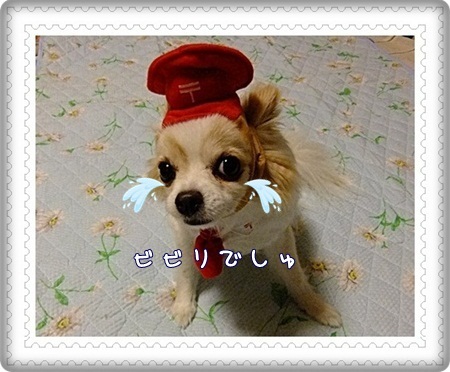 ビビリ