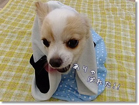 ばれた