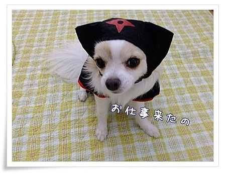 お仕事