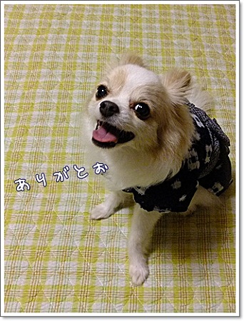 ありがとう♪