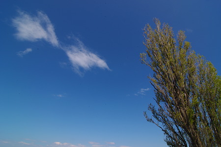 IMGP1332