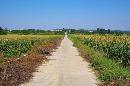 IMGP9795