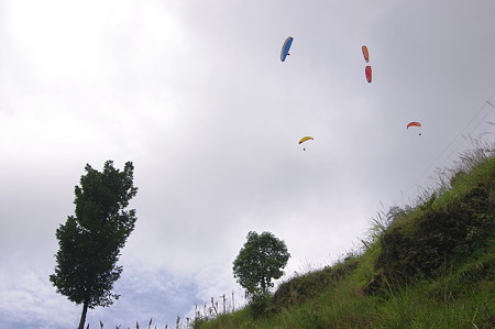 IMGP6324