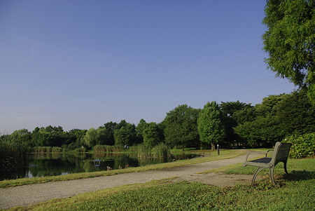 夏空