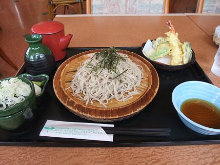天ざるそば(上信越道【上り】・東部湯の丸SA)