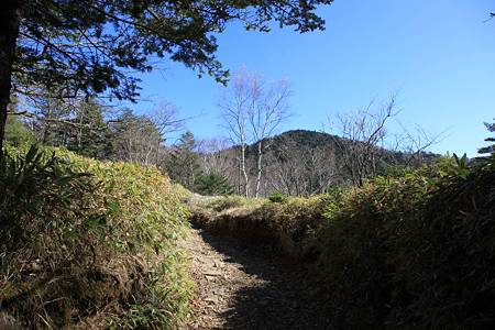 大菩薩嶺-20101103-121352