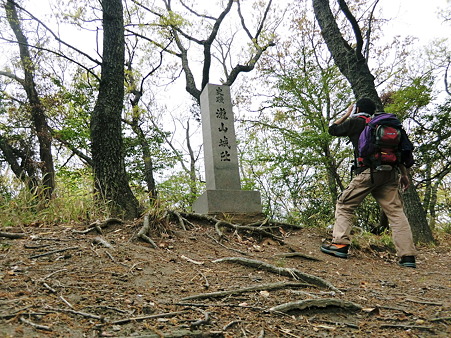 滝山城跡の石碑