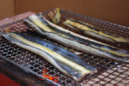 110504浜名湖産天然うなぎ03