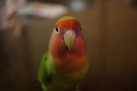 DSC00611