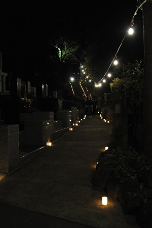 3SA_0165.resize