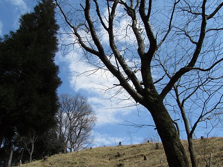 sIMG_4593