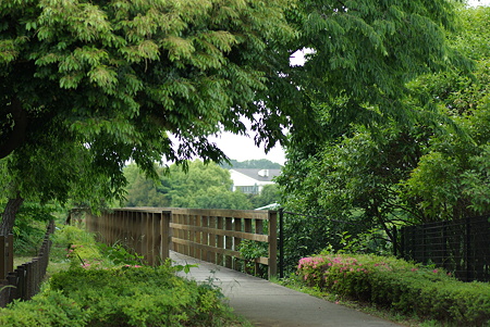 20100531_145100