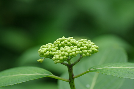 20100531_145456