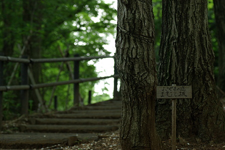 20100531_150302