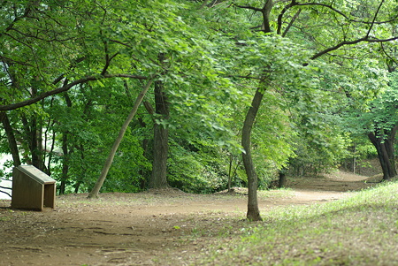 20100531_150448