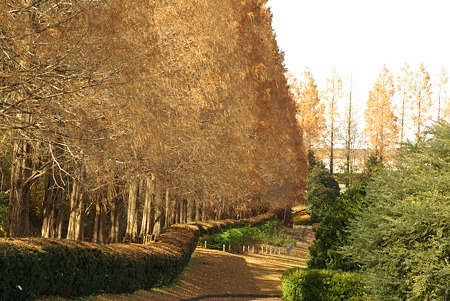 20101211_130934_0